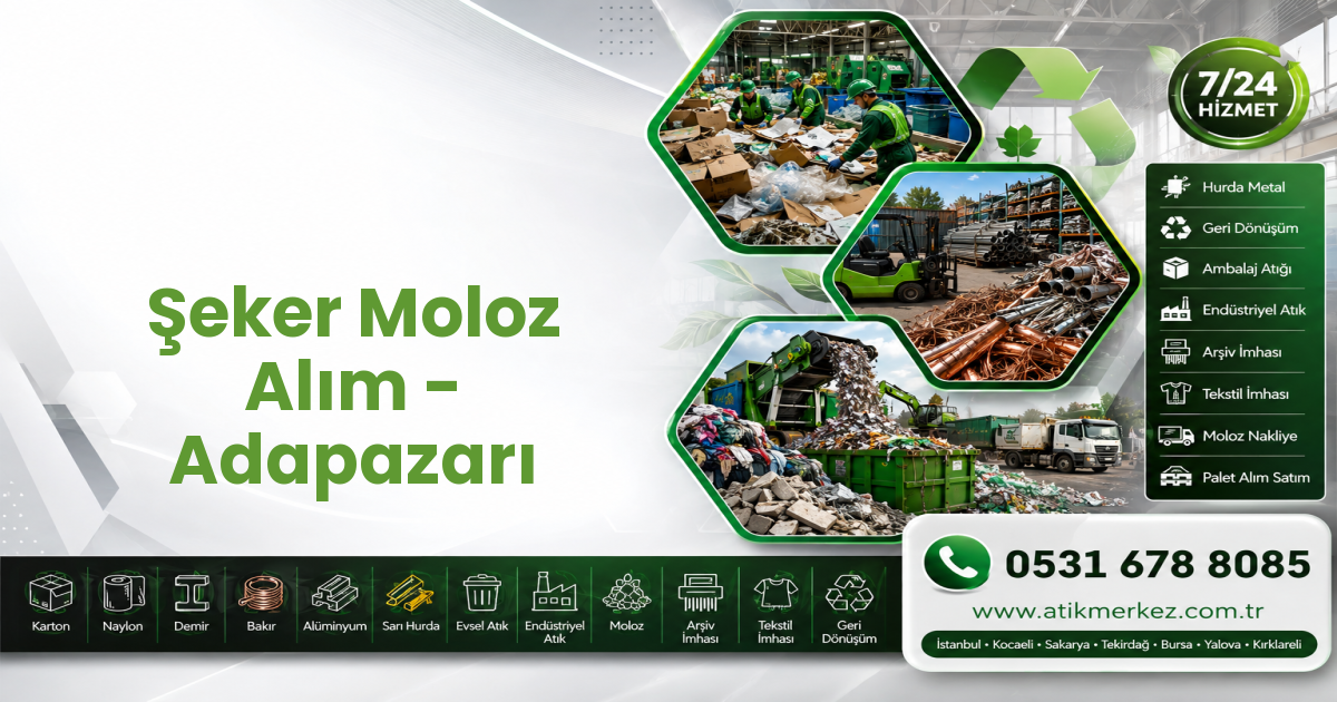 Şeker Moloz Alım - Adapazarı
