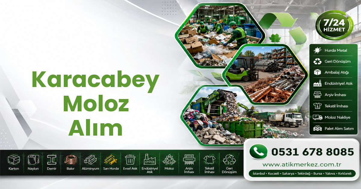 Karacabey Moloz Alım